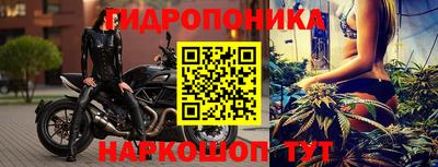 винт Партизанск
