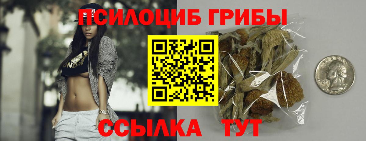 Рузаевка  Псилоцибиновые грибы Magic Shrooms  Вход с VPN 